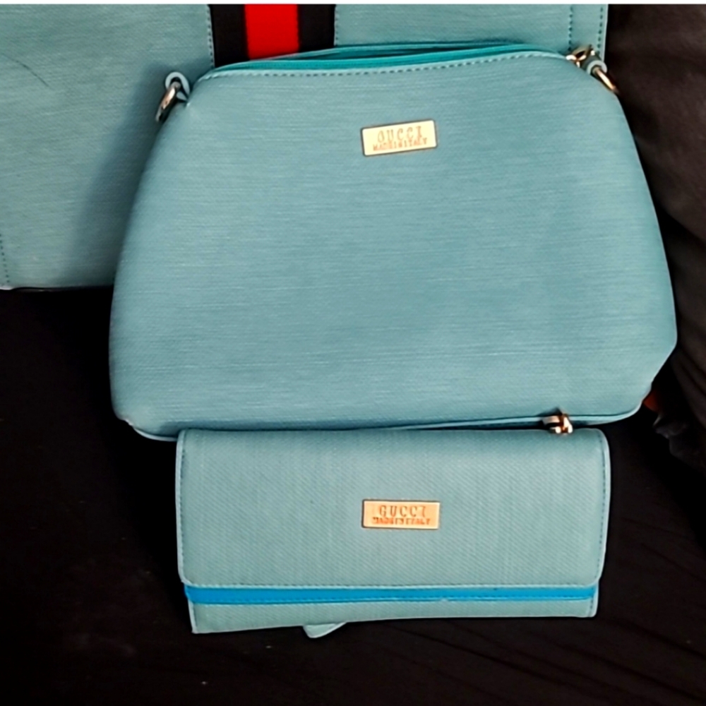 Gucci makeup bag & wallet